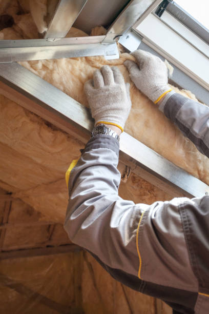 Eco-Friendly or Green Insulation Solutions in Del Rey, CA