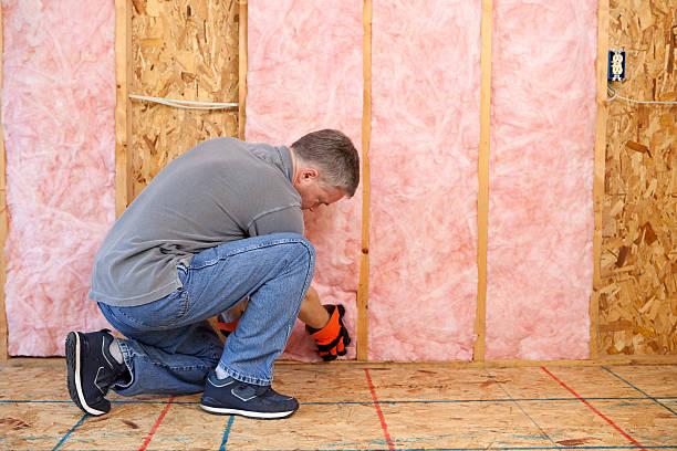 Best Radiant Barrier Insulation  in Del Rey, CA