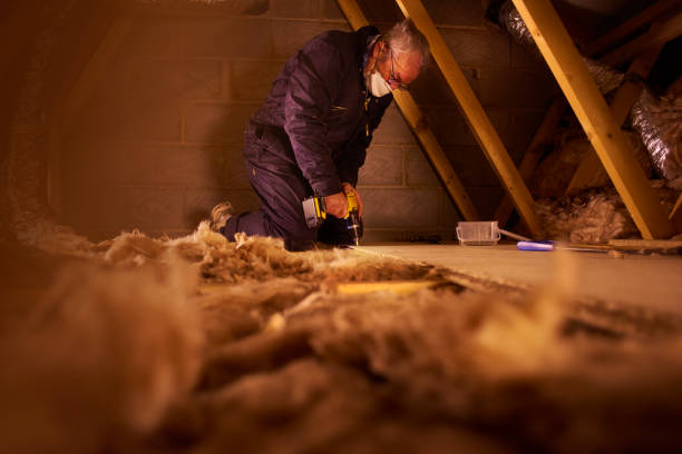 Types of Insulation We Offer in Del Rey, CA